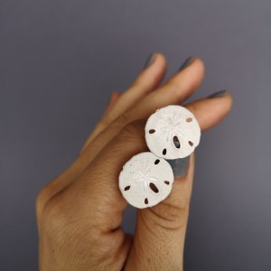 Weiße Sanddollar Ohrstecker