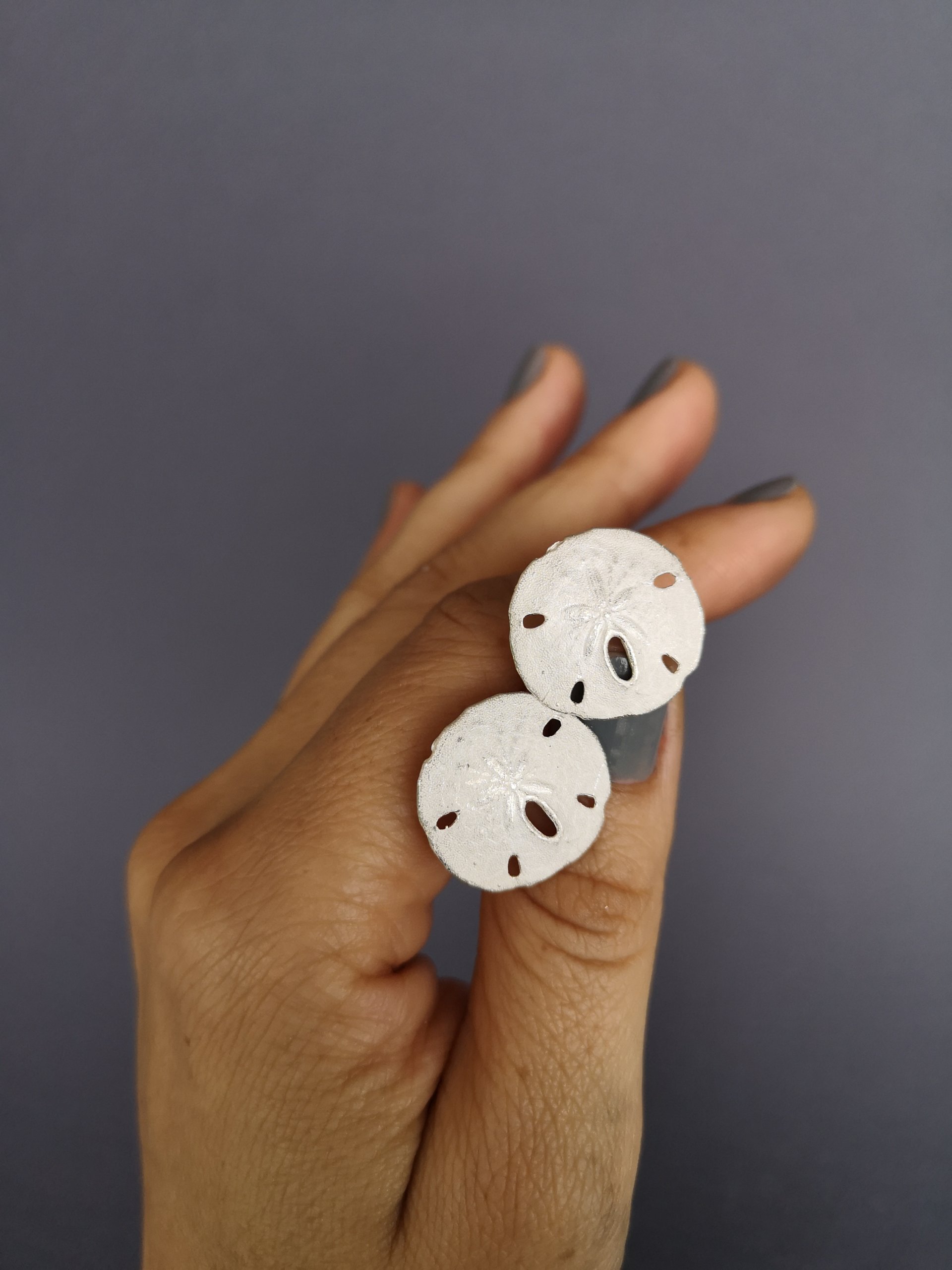 Weiße Sanddollar Ohrstecker